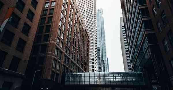 飞蛾为什么要扑火